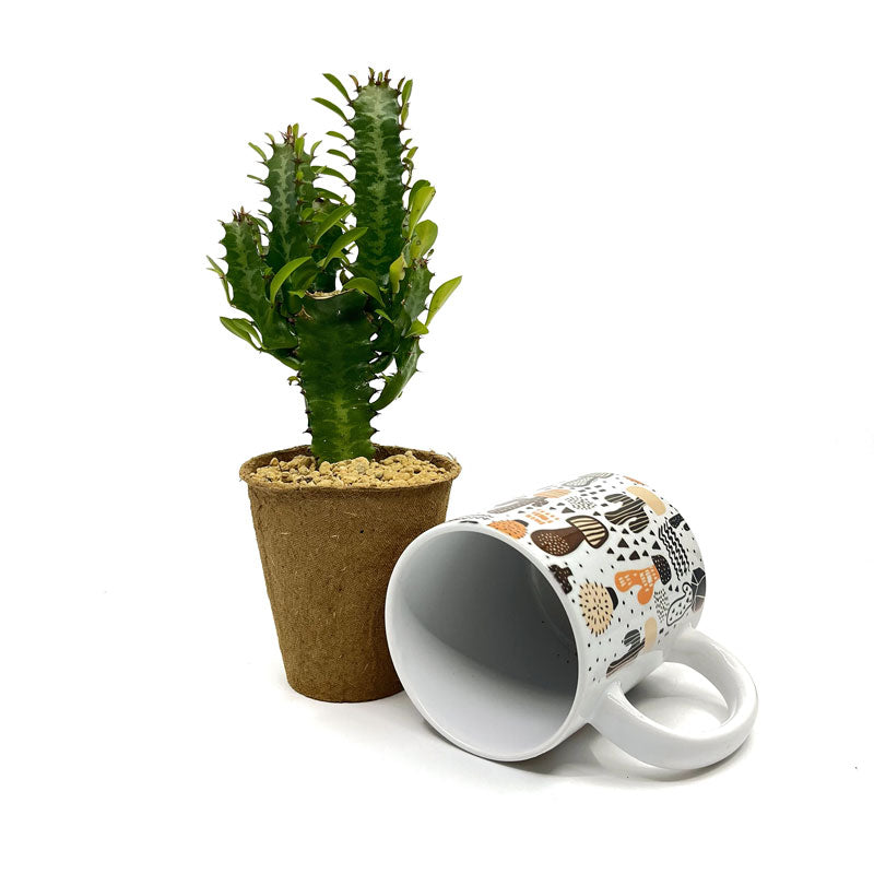 Pack Regalo Día Del Padre Taza Cactus + Euphorbia_1