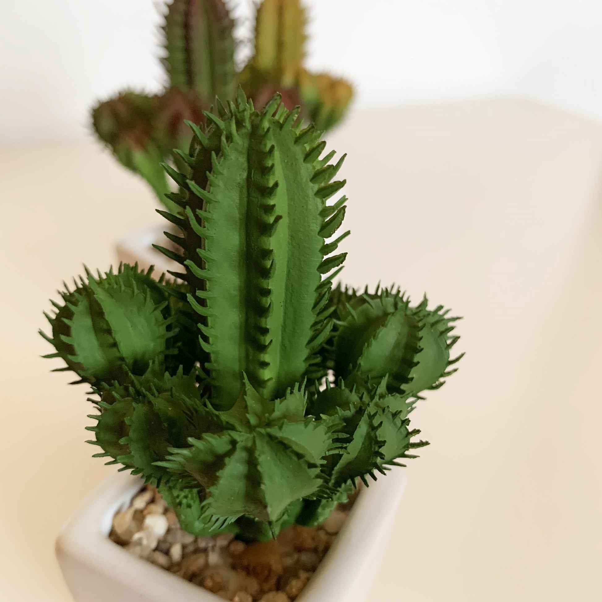 Pack 12 Cactus Cardon Surtidos Artificiales Con Maceta De Ceramica_4