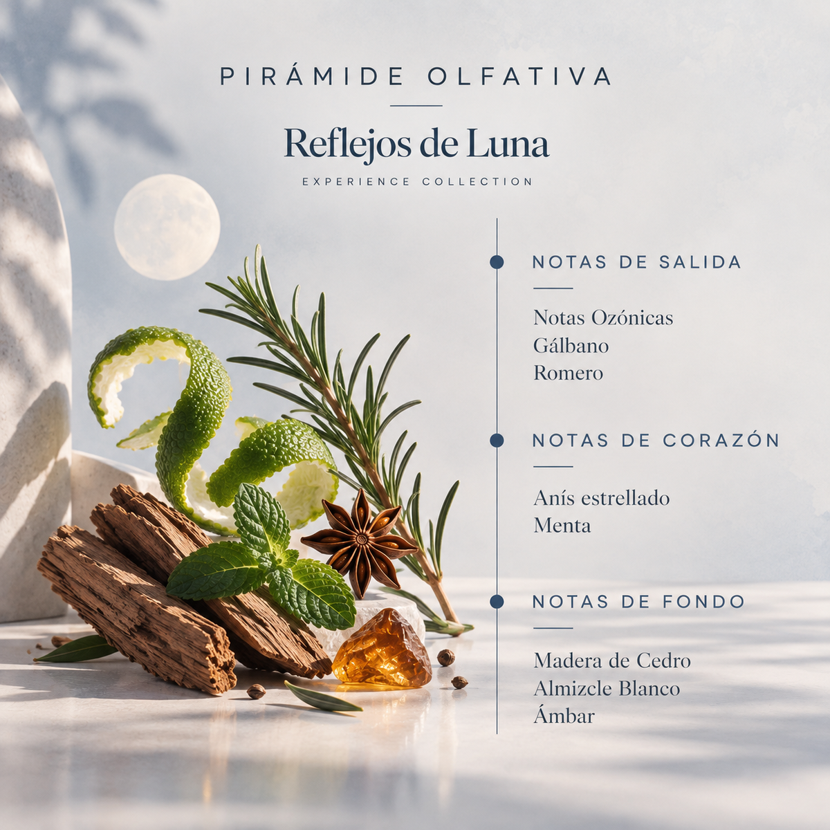 Recambio Mikado Reflejos de Luna Experience SYS Aromas 200 ml | Con Palos | Aroma Fresco y Mediterráneo_1