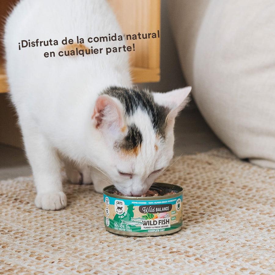 Wild Balance Fish and Turkey BARF Ração enlatada para gatos 6x120g