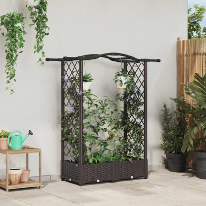 Cama Elevada Con Trellis Y Techo Marrón 124 X 40 X 123 Cm Pp_1
