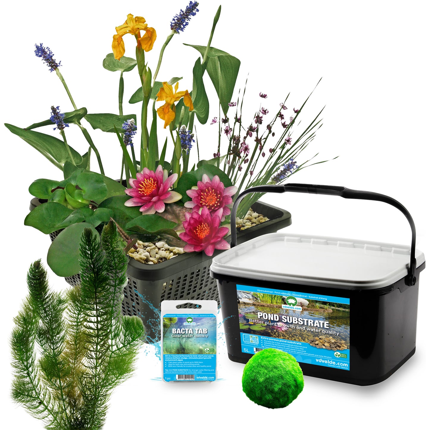 Mini Estanque Set Completo Rojo 25-90l - 11 Plantas Y Bacterias_2