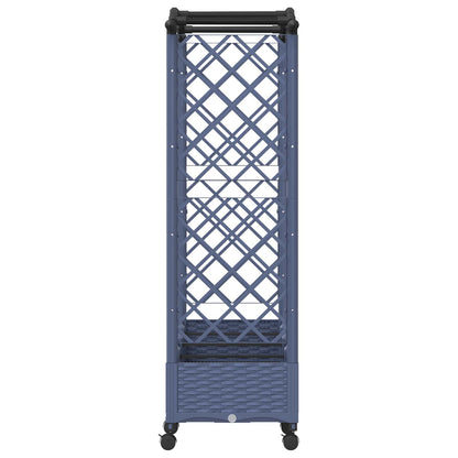 Cama Elevada Con Trellis Y Techo Gris 207 X 40 X 129 Cm Pp_4