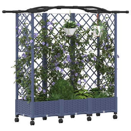 Cama Elevada Con Trellis Y Techo Gris 163 X 40 X 129 Cm Pp_2