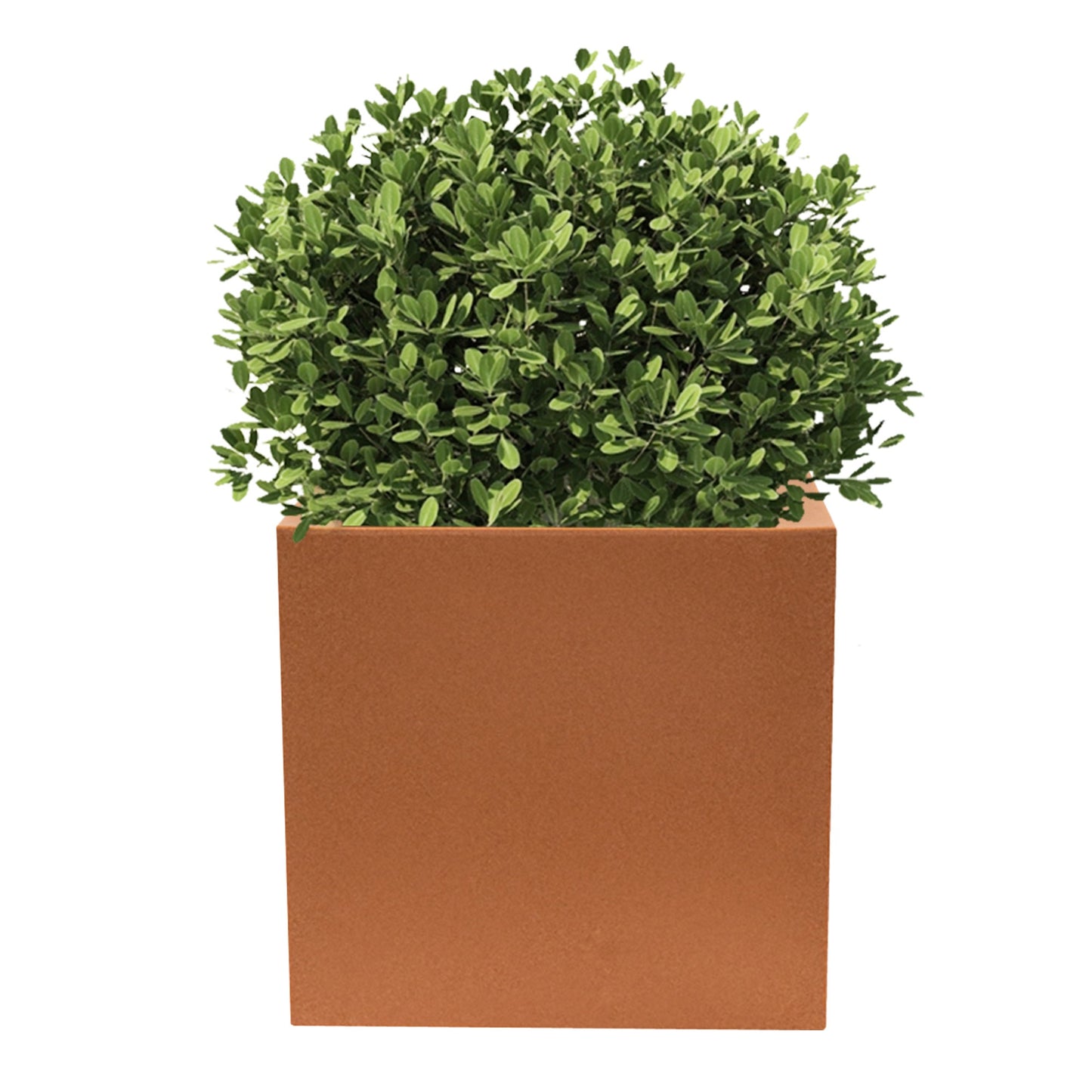 Macetero De Polietileno Terracota 50x50