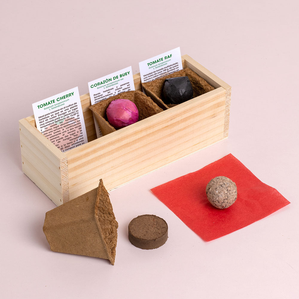 Mini Huerto De Tomates (cherry, Corazón De Buey Y Raf) | Huerto Urbano Fácil | Regalo Original_1