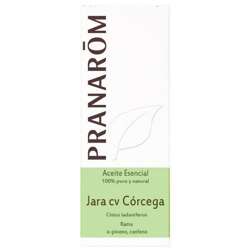 Óleo essencial orgânico de Esteva da Córsega Pranaróm, 5 ml