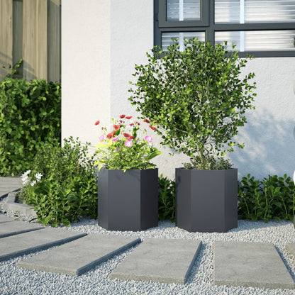 Jardineras Hexagonales 2 Uds Acero Antracita 46x40x45 Cm_2
