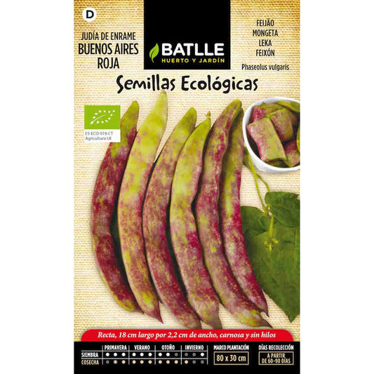 Sementes de feijão vermelho Batlle