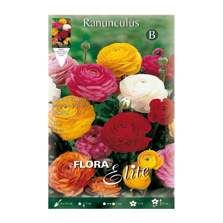 Mistura de bolbos de ranúnculo 10 unidades