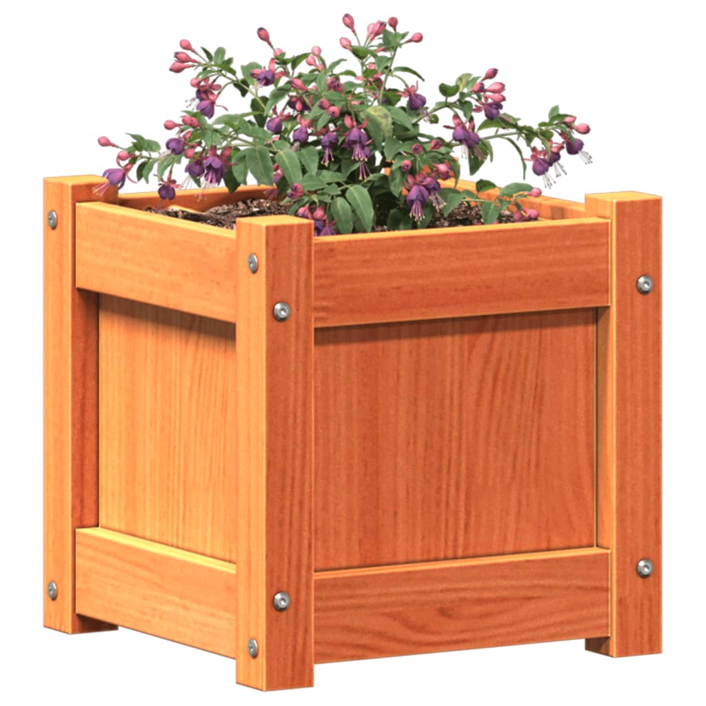 Jardinera Exterior Madera Maciza Pino Marrón Cera 31x31x31 Cm_3