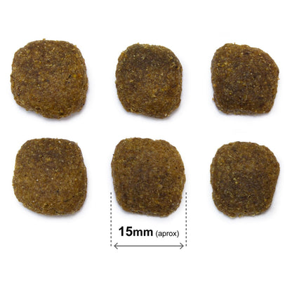 Ração para cães Arquivet Original Salmão e Arroz 12 Kg
