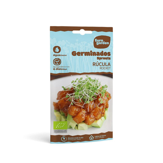 Sementes de rúcula biológica germinadas Eurogarden