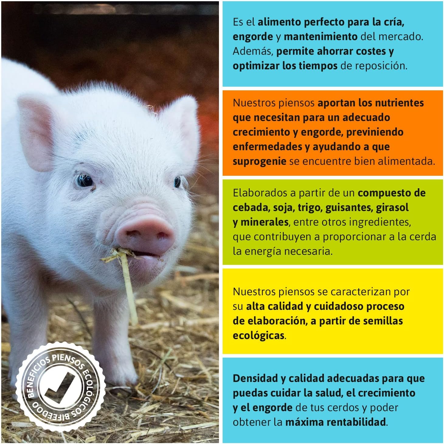 Pienso ECOLÓGICO para Lechones 20kg Alimentación Natural y Equilibrada. Nutrición Completa para un Crecimiento Saludable_3