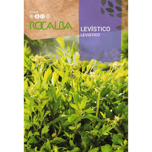 Sementes de ligústico