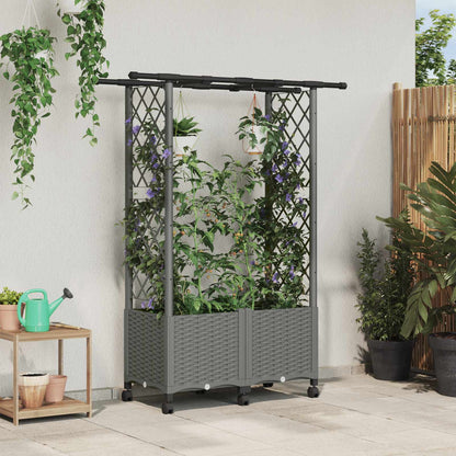 Cama Elevada Con Trellis Y Techo Gris Claro 124,5 X 40 X 142 Cm_1