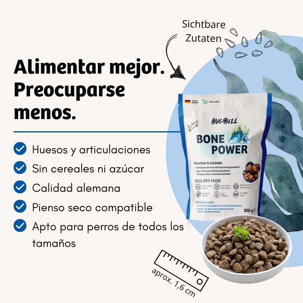 BugBell BonePower Pienso – Hipoalergénico, sin cereales, con proteína de insecto, glucosamina y mejillón verde_1