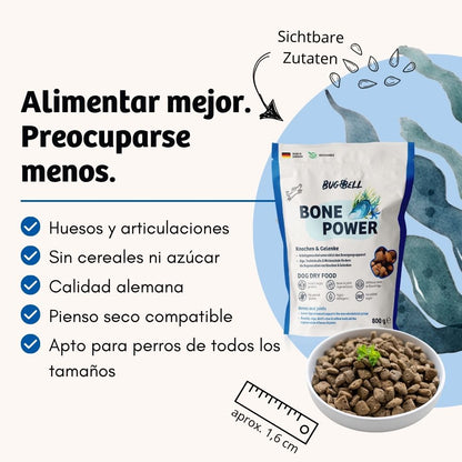 BugBell BonePower Pienso – Hipoalergénico, sin cereales, con proteína de insecto, glucosamina y mejillón verde_1
