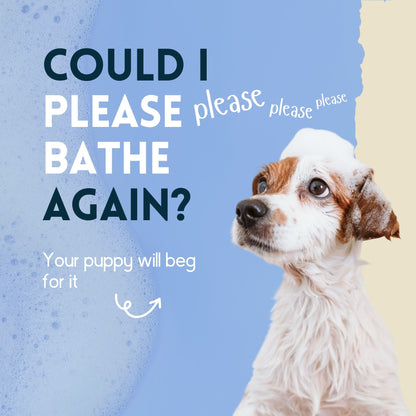 Champú Para Cachorros Sensible - Nimo - 250 Ml_3