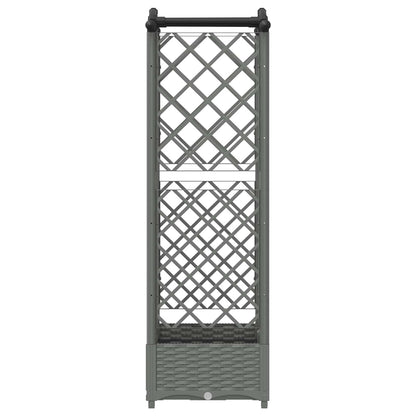 Cama Elevada Con Trellis Y Techo Gris Claro 124 X 40 X 123 Cm_3