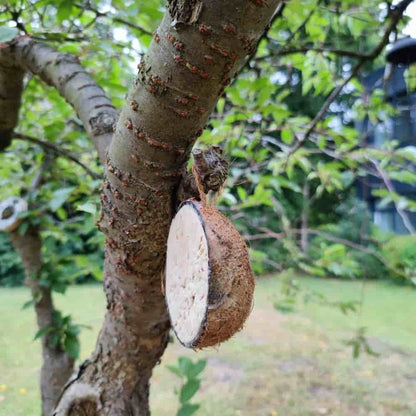 Comida Para Pajaros Silvestres, Coco Y Cacahuetes, 1/2 Coco, Alimento Nutritivo_2