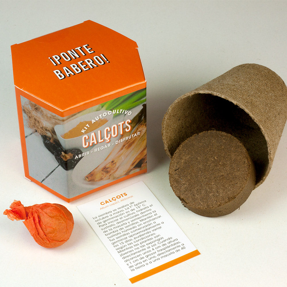 Kit Autocultivo Calçots | Cultiva Cebollas Tiernas Y Dulces En Casa_1