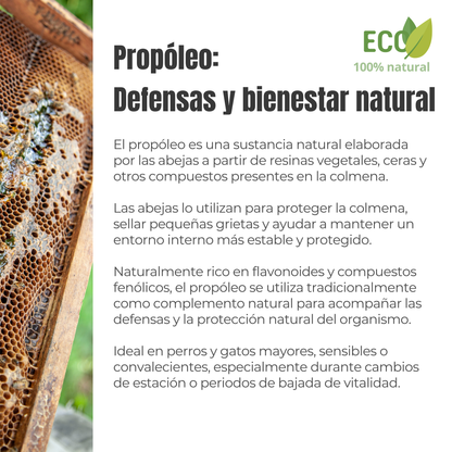Propóleo ECO para perros y gatos – Defensas naturales – 100 g_2