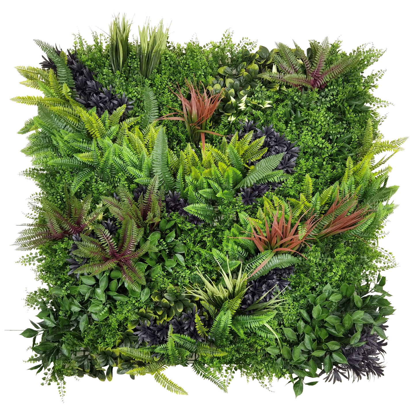 Bonerva | Jardín Vertical Amazonas | Pack 3 Piezas 100x100 Cm_2