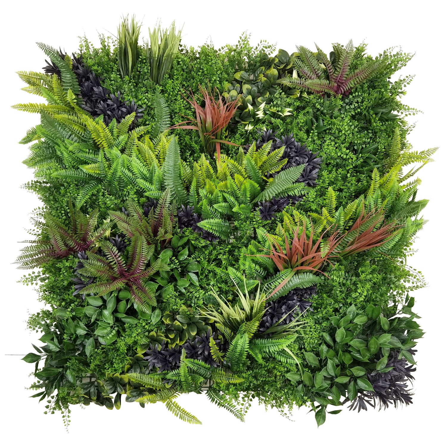 Bonerva | Jardín Vertical Amazonas | Pack 3 Piezas 100x100 Cm_2