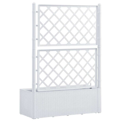 Arriate Con Enrejado Y Sistema De Riego Automático Blanco_4