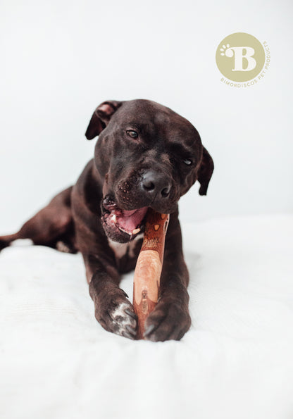 Bimordiscos Palo De Olivo Para Perros.