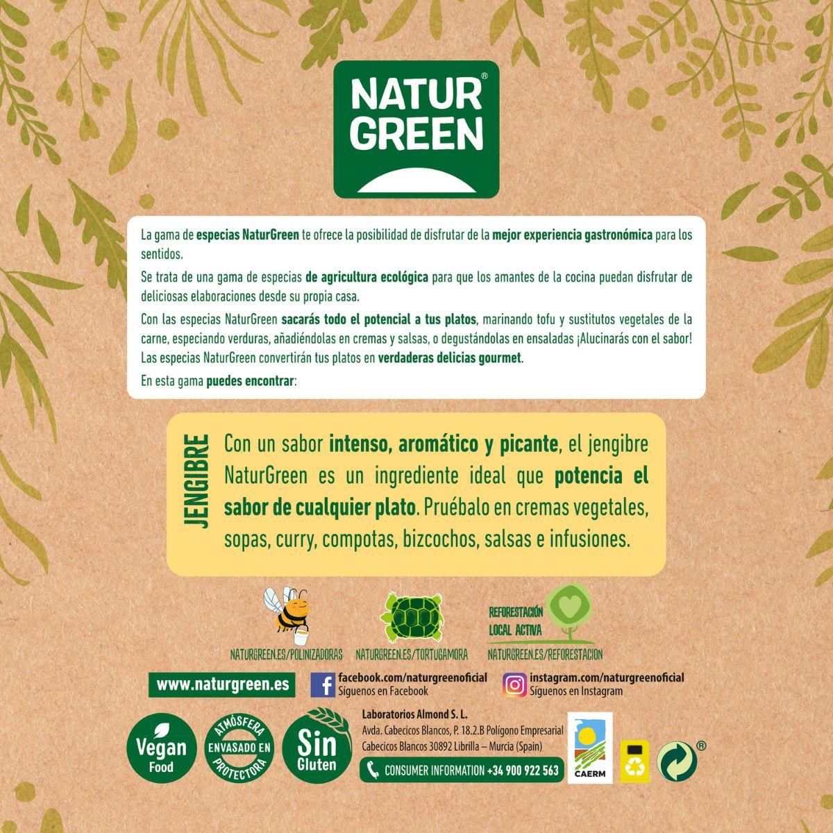 Gengibre em pó biológico NaturGreen 100 g