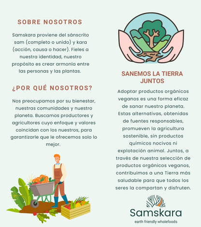 Canela De Ceilán En Polvo Bio - 150g | Superalimento Ecológico Vegano Para Batidos, Smoothies Y Zumos_5