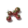 Mudas de tomate cereja preto, 6 unidades, variedade tradicional