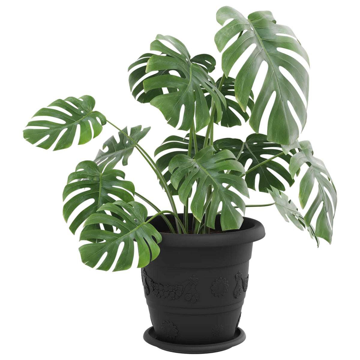 Macetas 6 Uds. Negro Ø 26 X 21.5 Cm Plástico_2