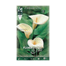 Bolbo branco de Calla aethiopica 1ud