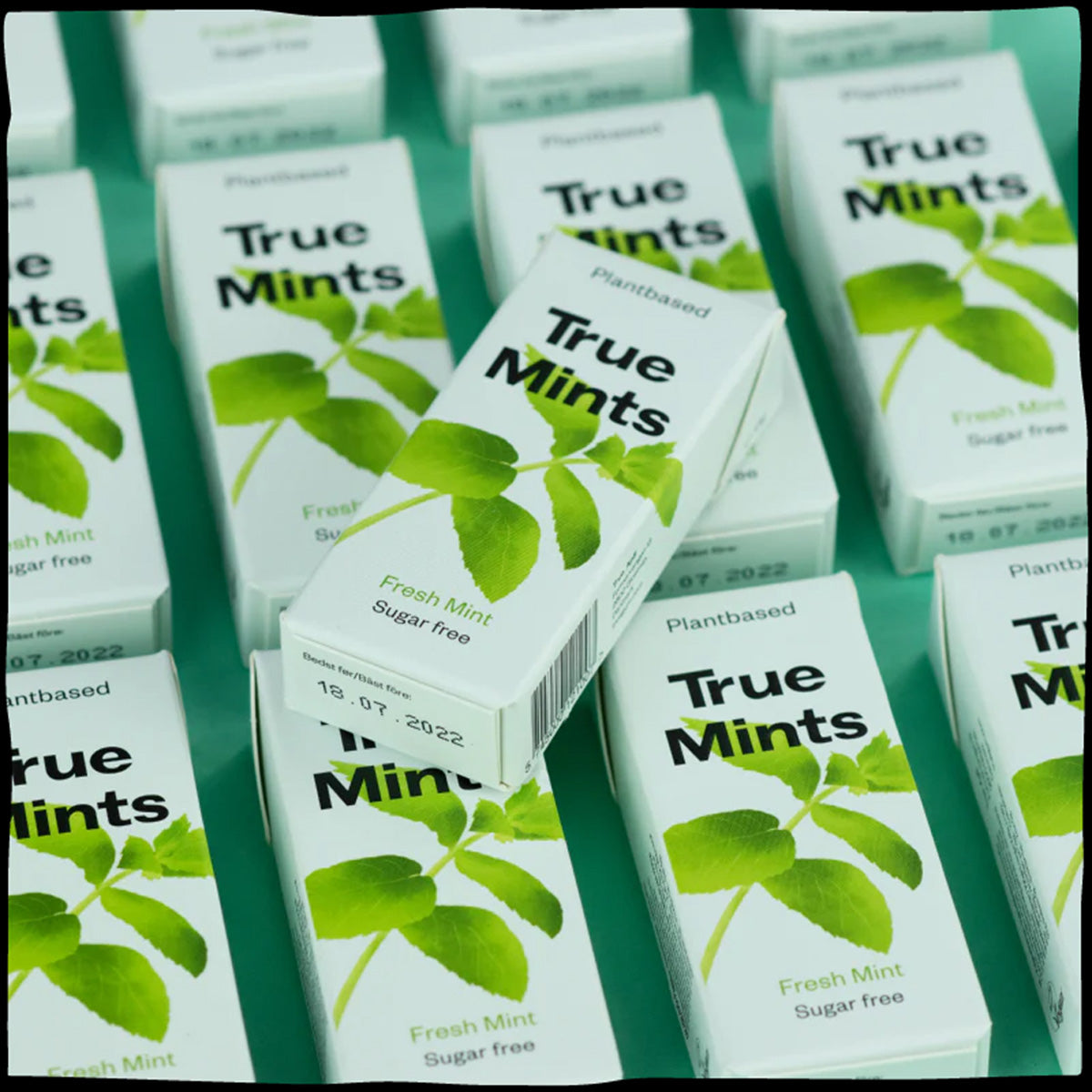 Rebuçados de menta fresca sem plástico True Mints 13g