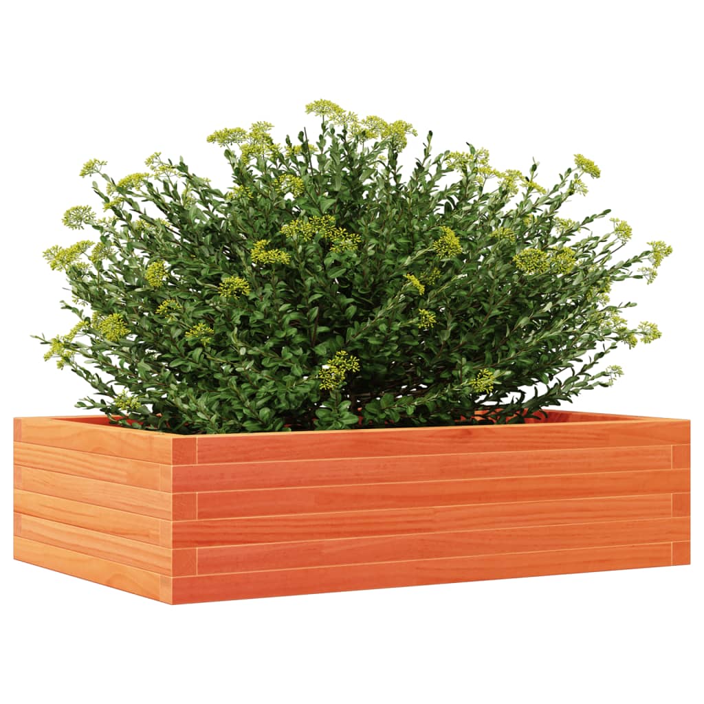 Jardinera Madera Maciza De Pino Marrón Cera 90x60x23 Cm_3