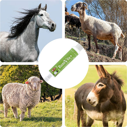 RumiVita – Complemento nutricional en pasta para cabras y ovejas – Apoyo vitamínico-mineral – Formato jeringa oral 30 ml_3