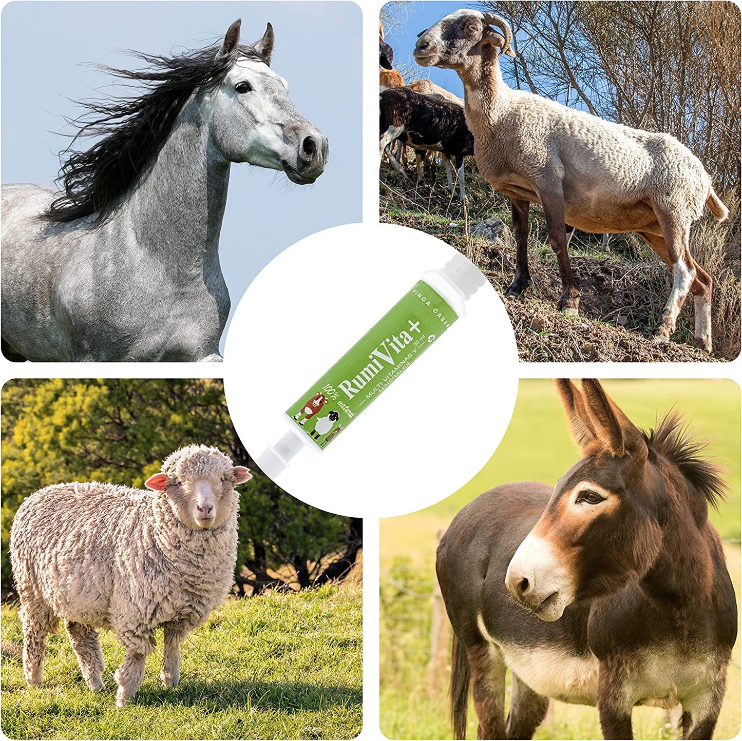 RumiVita – Complemento nutricional en pasta para cabras y ovejas – Apoyo vitamínico-mineral – Formato jeringa oral 30 ml_3