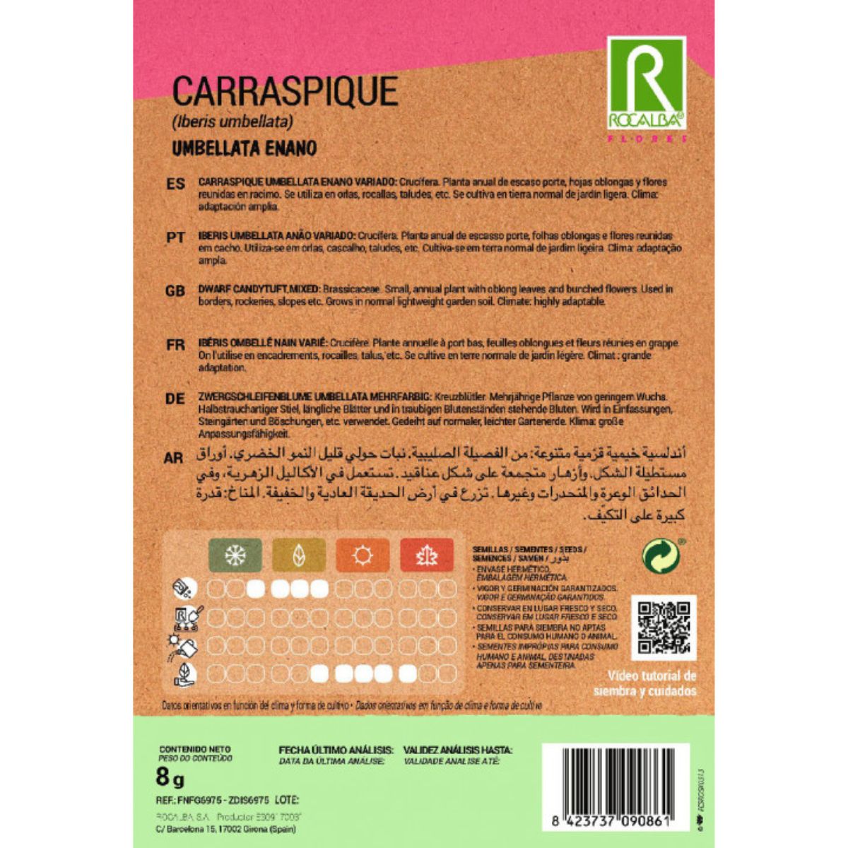 Sementes de Carraspique umbellata anã, variadas
