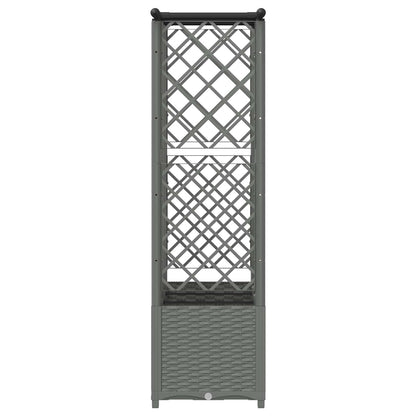 Cama Elevada Con Trellis Y Techo Gris Claro 163,5 X 40 X 136 Cm_3