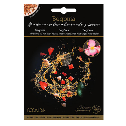 Sementes de flores comestíveis de Begônia, Rocalba