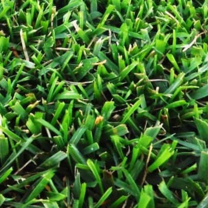 Semillas Para Césped Especializadas Por Uso Y Zona Saco 25 Kg (750 M2) / Profesional Highland_1