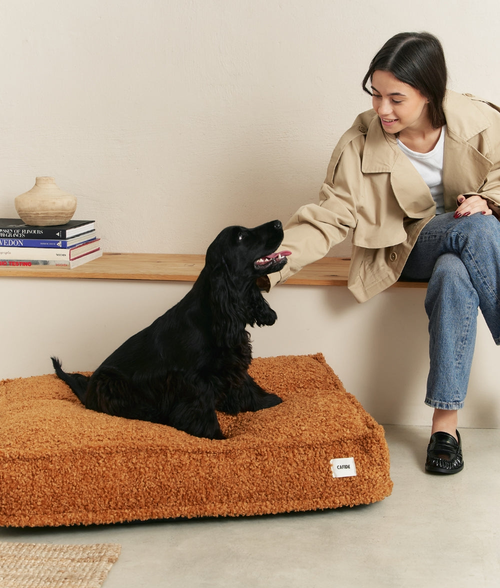 Cafide Cama De Material Reciclado Para Perro Con Tejido Estilo Borreguito Mostaza. Modelo Cuadra._2