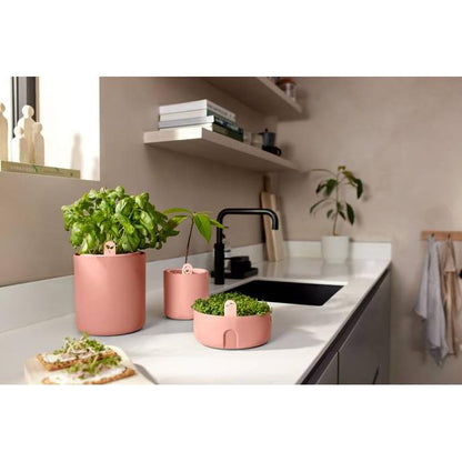 Germinador Magic Microgreens Elho Terra