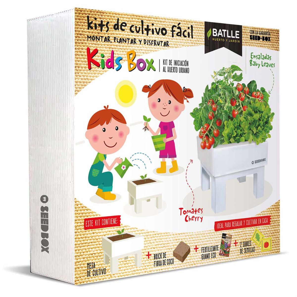 Kit de cultivo infantil para batalha de sementes