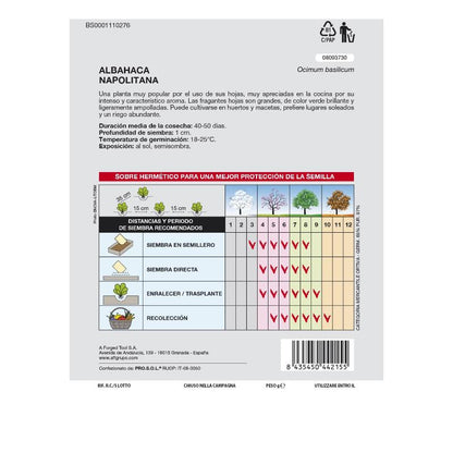 Semillas Aromáticas Albahaca Gigante (5 Gramos) Horticultura, Horticola, Semillas Huerto.