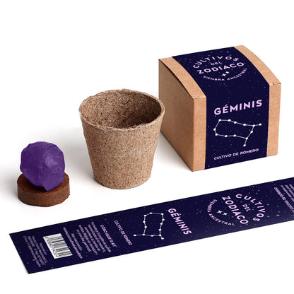 Cultivos del Zodiaco – Géminis, Kit de Cultivo con Semillas de Romero - Resetea_1
