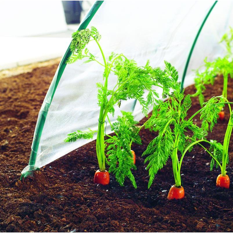 Película Climafilm Nortene 2 x 5 m para o cultivo precoce de hortícolas